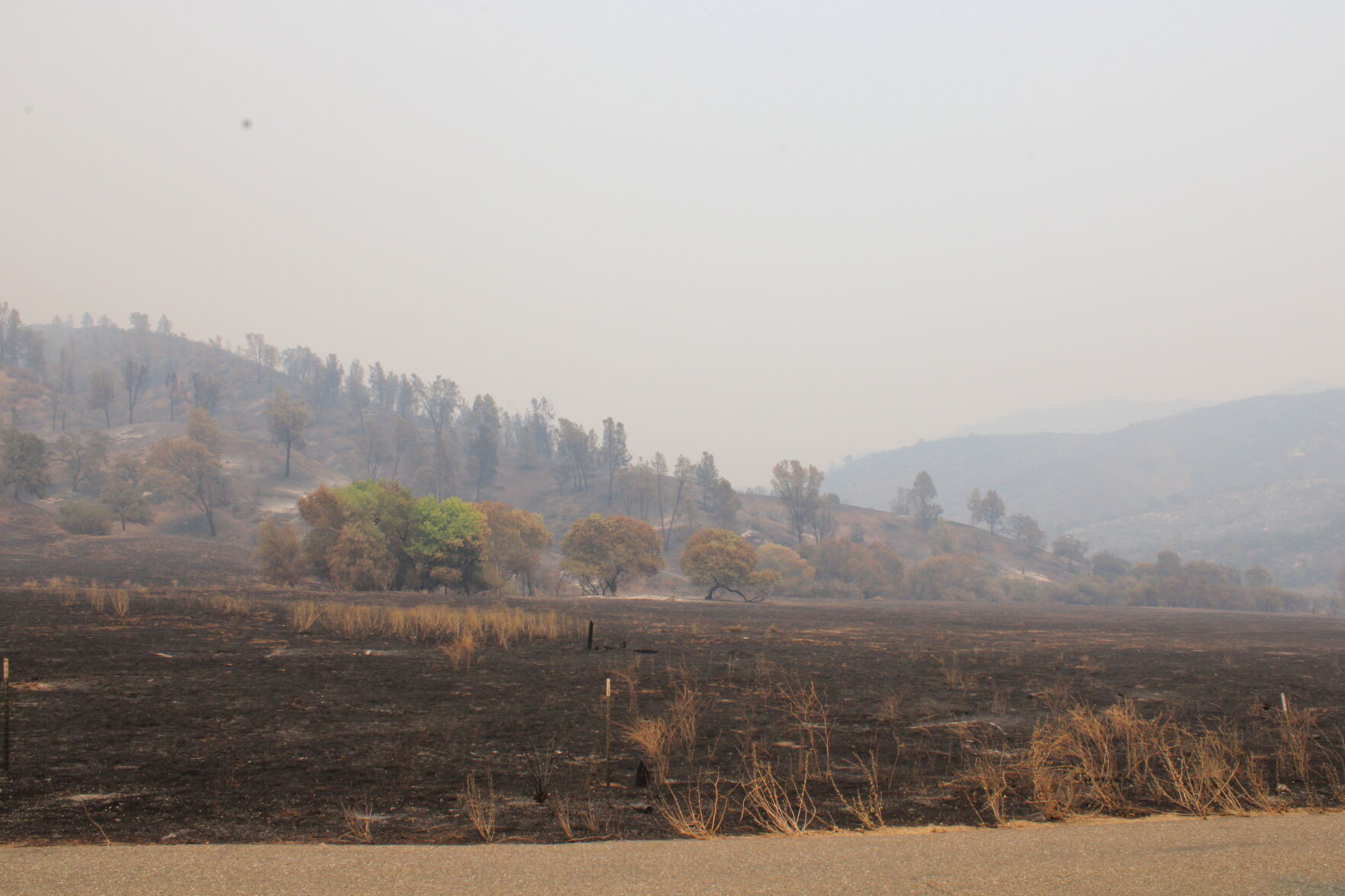 Del Puerto Canyon fire update